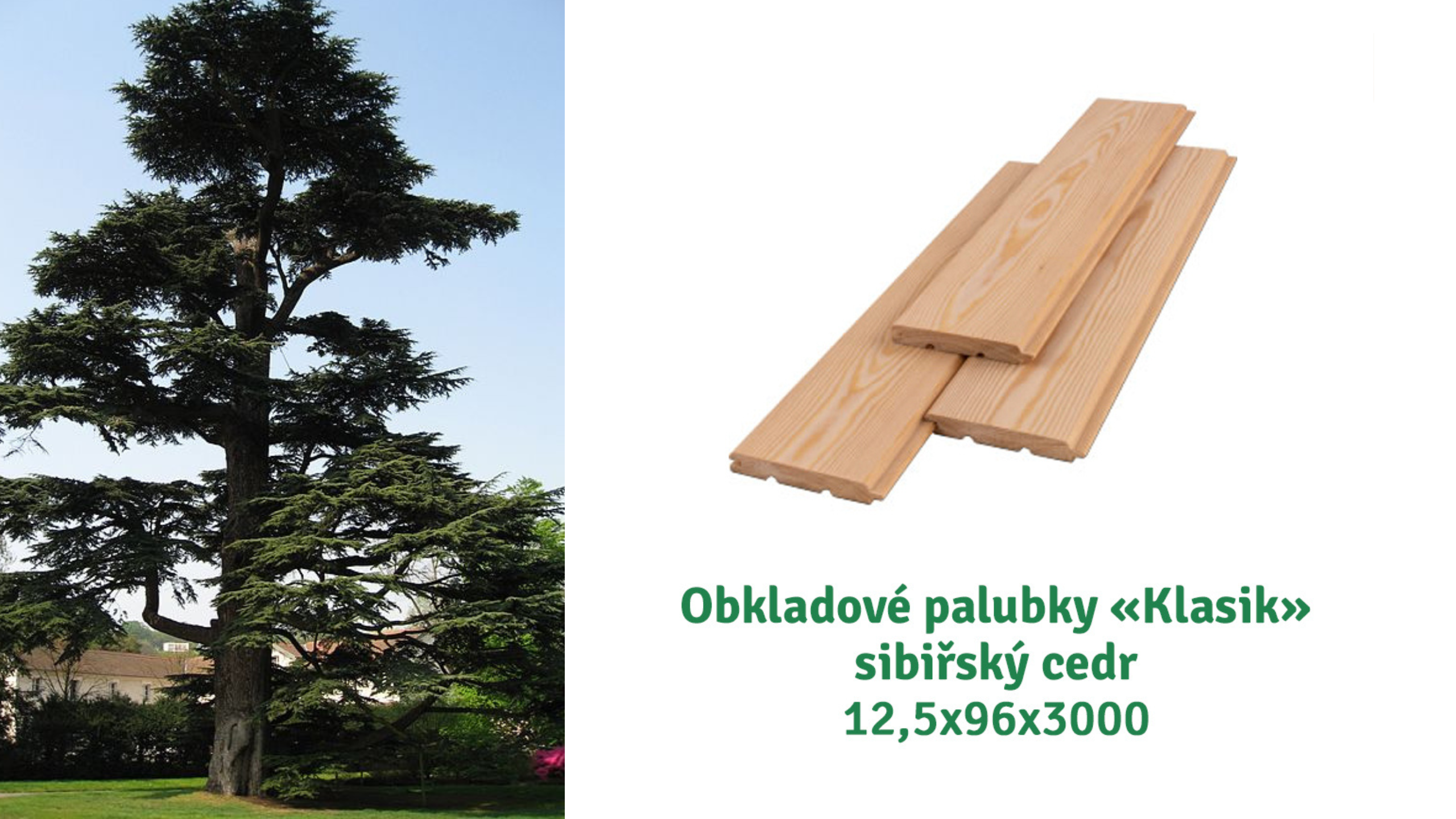 Rozdělení dřeva podle tvrdosti